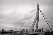 Erasmus Bridge